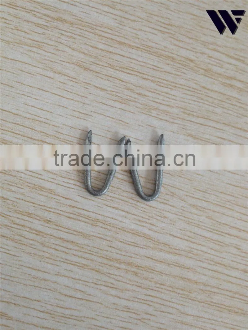 fence staple factory price