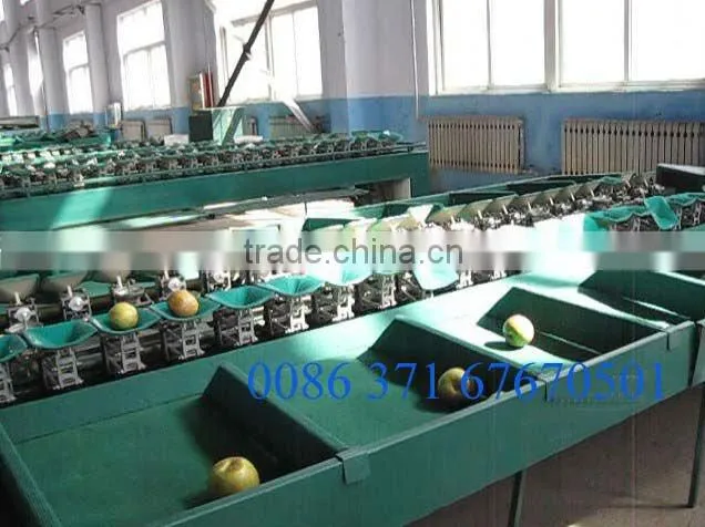 tomato selecting machine