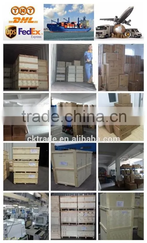 DYY-8C Electrophoresis power supply