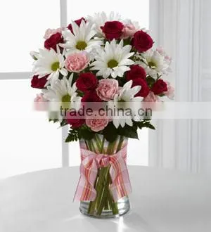 Cylinder Clear Glass glass ornaments