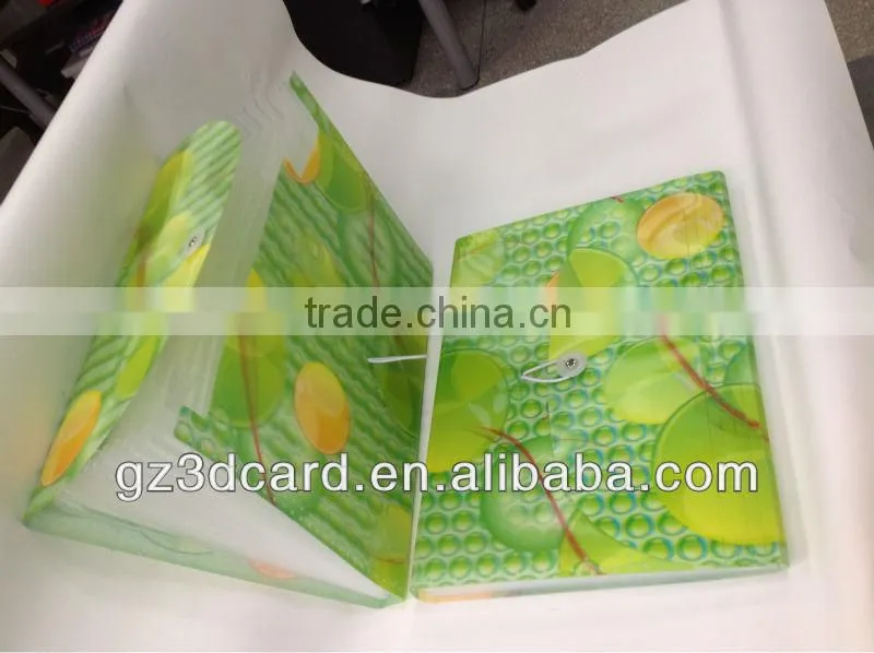 3D file folder Lenticular A4 file folder for school supplies