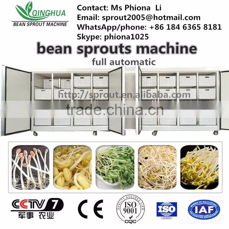 automatic bean sprout machine bean sprout growing machine