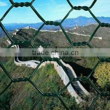 pvc hexagonal green plastic wire netting