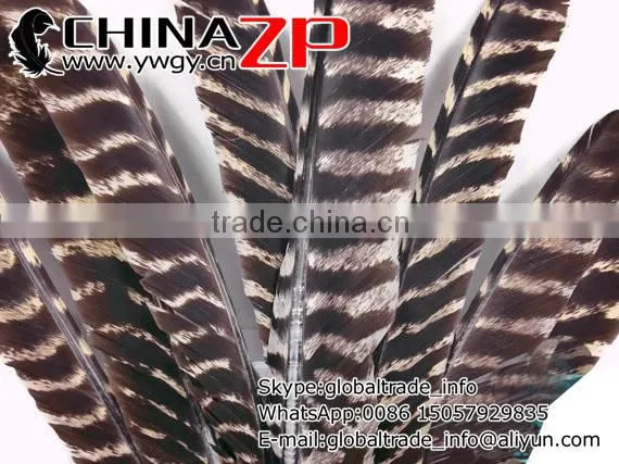 Beautiful plume crafts wholesale cheap bulk Dyed Wild Turkey Feathers