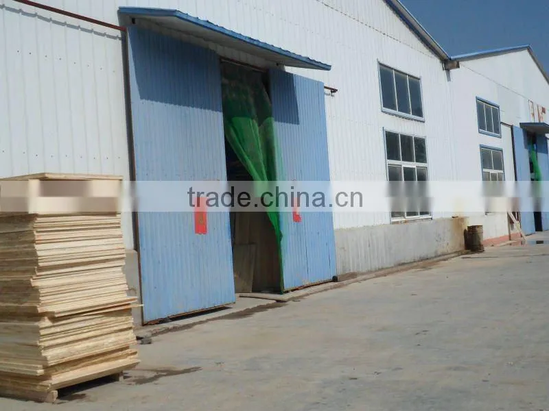 paulownia wood&timber sawmill