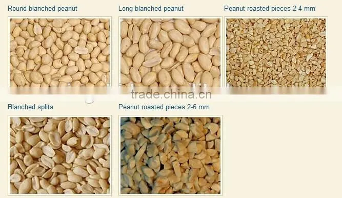 Roasted and Salted Blached Peanut