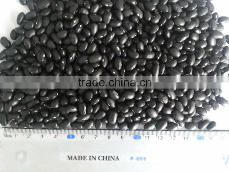 Chinese black kidney bean