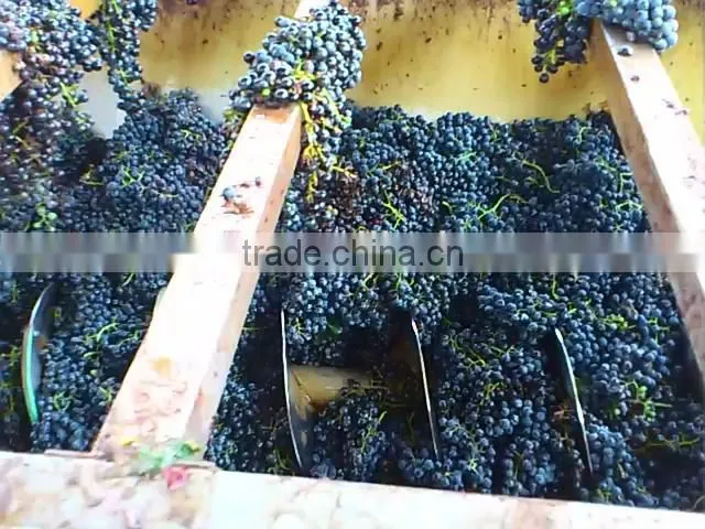 Industrial grape smashing machinery/grape destemmer machine with SUS304 stainless steel