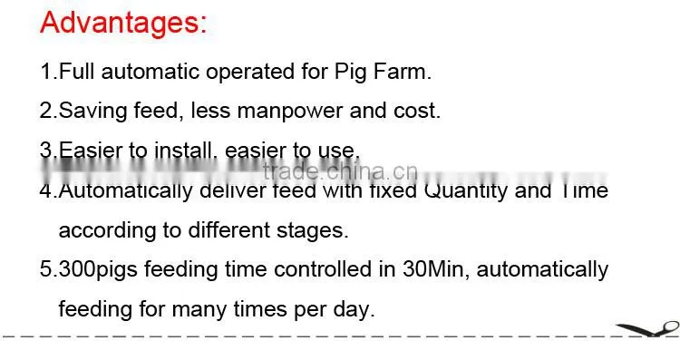 Automatic pig feeding system for fattening pig