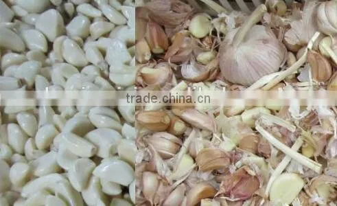 Belt Type CCD Color Sorter for Fresh Garlic or beans or seeds 0086 371 65866393