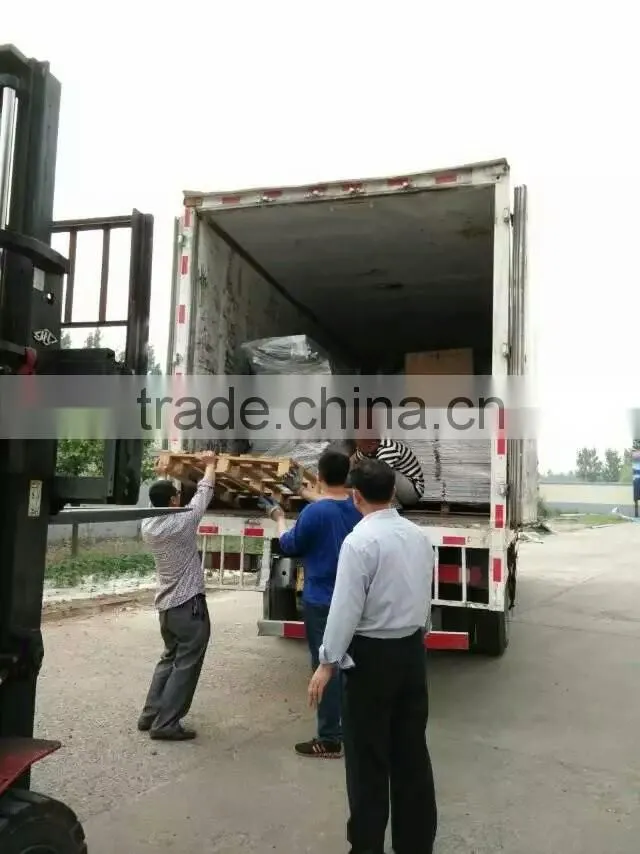 plastic chicken tranport stackable cage/box/crate for child chicken