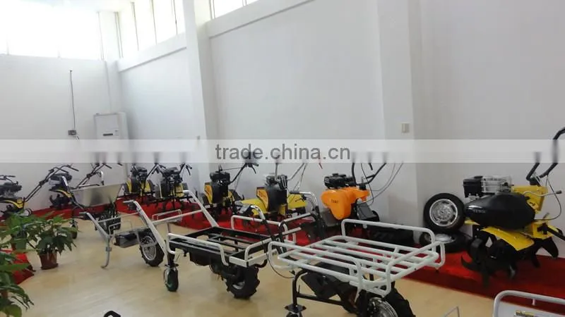 Electrical Wheel Barrow with 230W for Carring Heavy Goods (AF-2D)