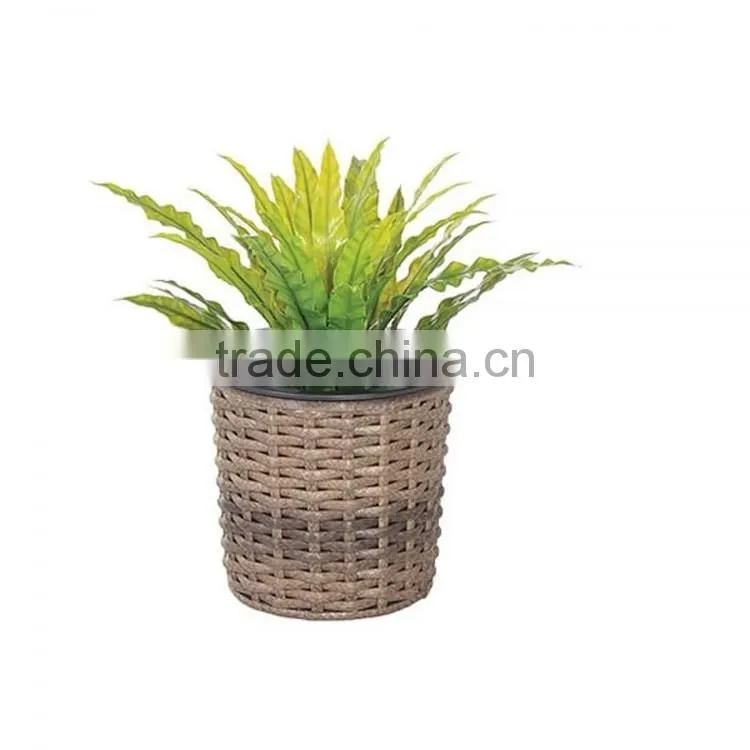 Home or office decoration square wicker planter