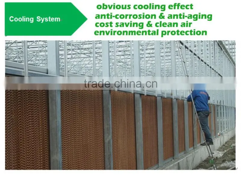 PC Sheet Cover Material and Large Size Tunnel Commercial Greenhouse