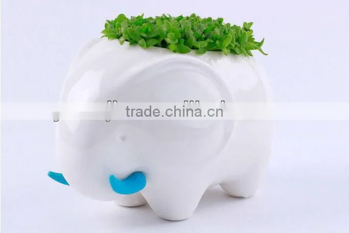 Supply fashion Creative animal plant - rhinoceros