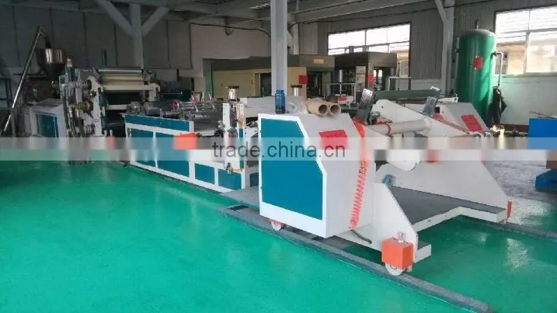 Chinese gold manufacturers plastic Fruit Tray with cells