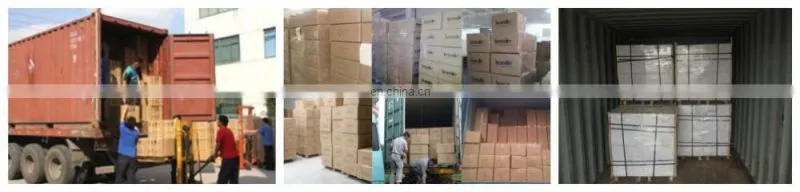 physical therapy equipment Back-Leg-Chest Dynamometer