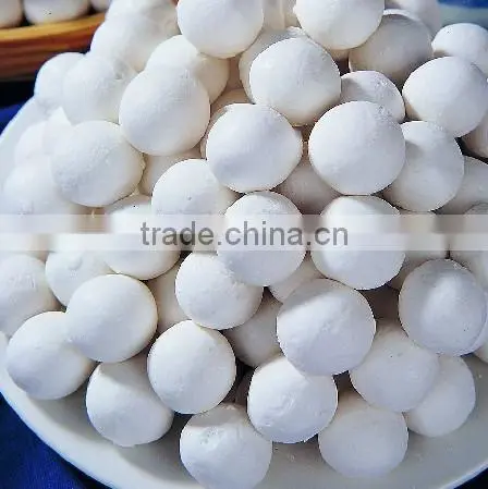 Dumpling forming machine|Dumpling former