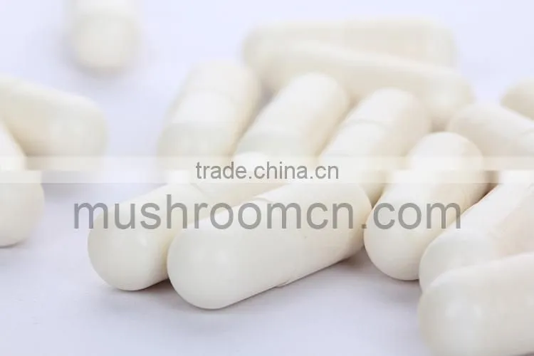 Marine Pure White Collagen Extract From Fish Capsule