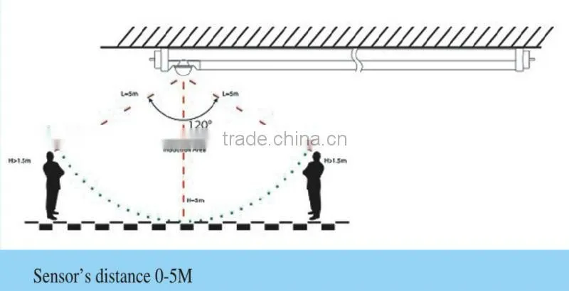 HOT! Competitve Price 9w 15w 18w 22w 32w Sensor LED T8 Tube 6000K