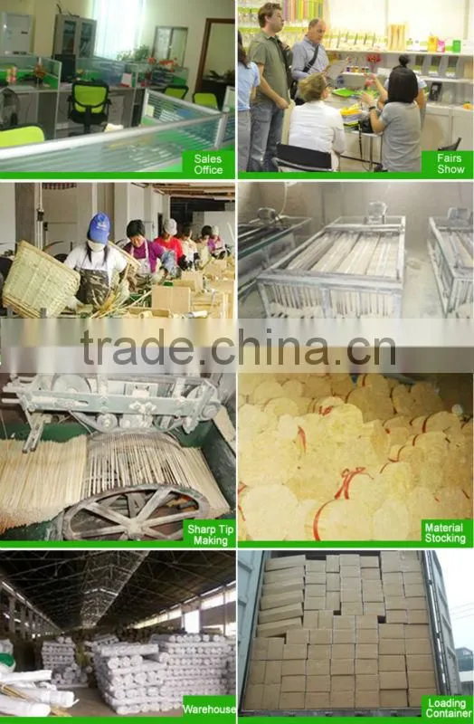 Quality antique plastic food toothpicks