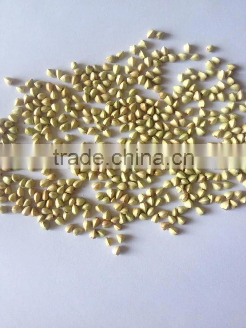 BUCKWHEAT KERNELS