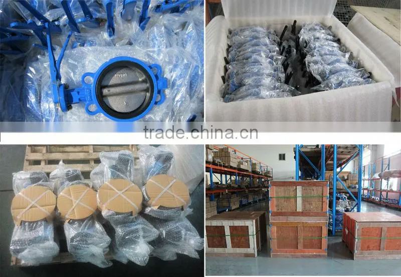 Butterfly Wafer Double/Dual Disc/Plate Check Valve