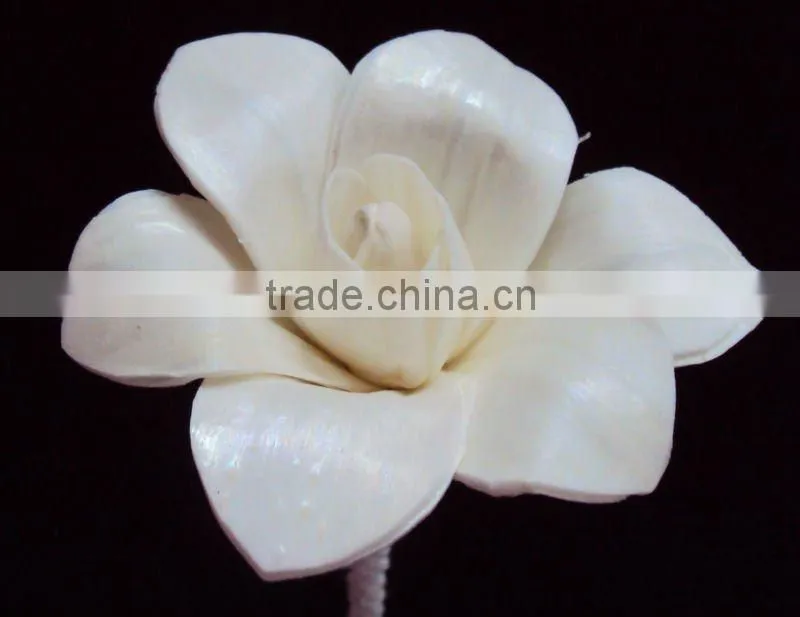 sola Diffuser flower