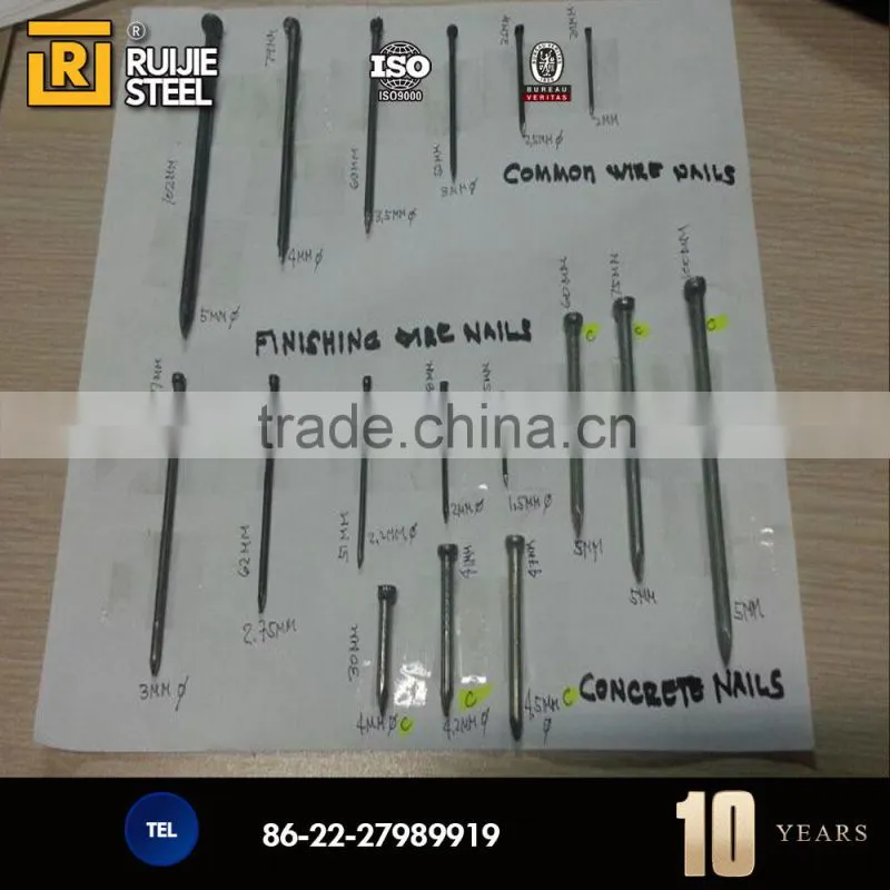 3'' Metal Electro Galvanized Iron Nials,Common Nails Smooth Shank Polised