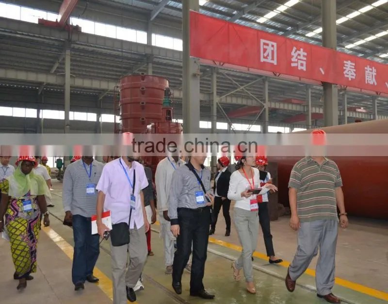 New Condition Mini Rice Bran Oil Mill Plant, Patent Rice Bran Oil Processing Plant