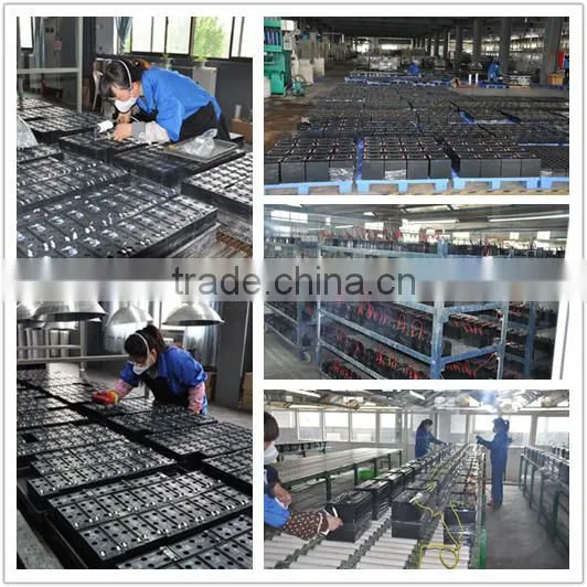 Slead lead acid AGM battery 6v 10ah rechargeable battery for scales