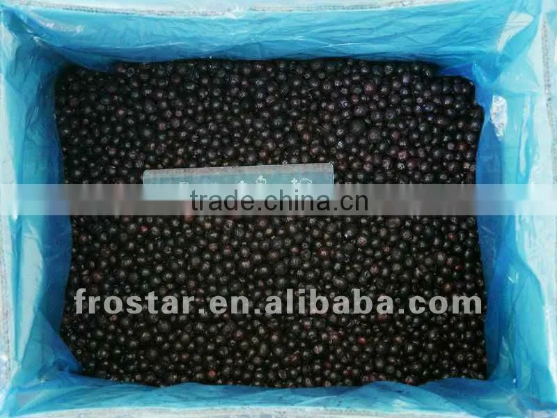 Frozen blueberry