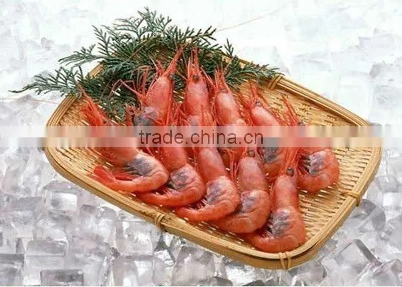 Plate ice making machine for fishing and cooling