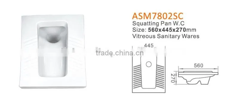 China Oem Manufacturer Flush Pipe Squatting Toilet Factory