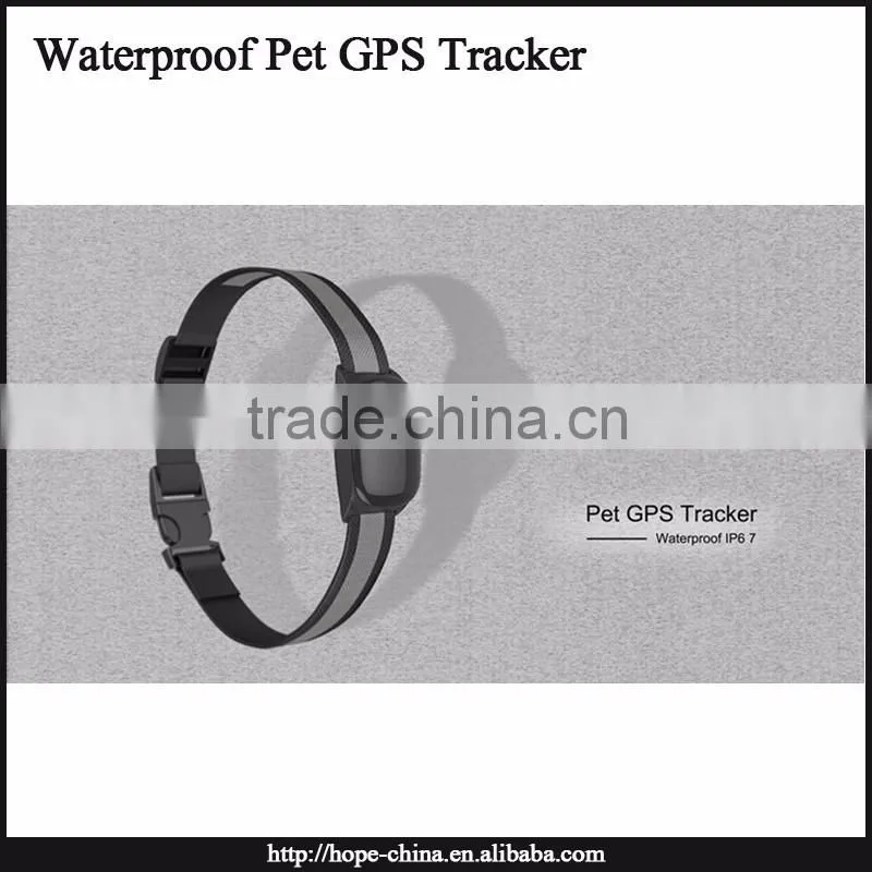 Most popular animal gps tracking device,gps dog collar,cat collar gps tracker
