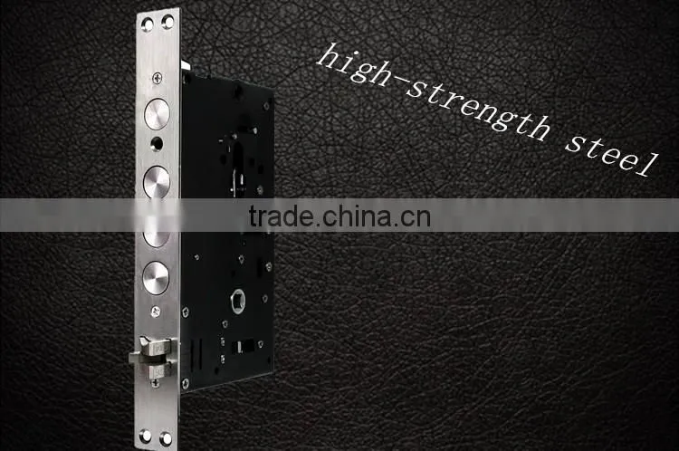 the Intelligent Electric Bolt Lock With Fingerprint and Password