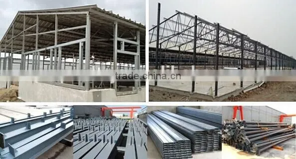 broiler chick shed equipment