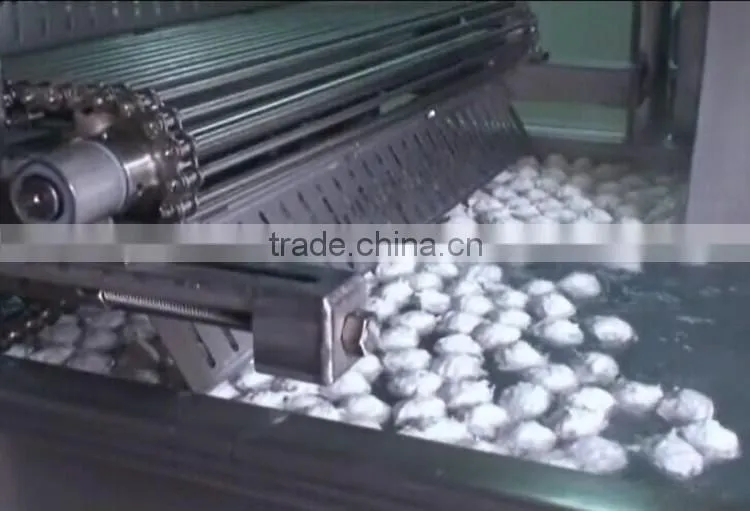Fish ball machine