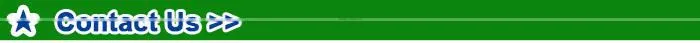 2016 Hot Selling Glowing Pet training Leash