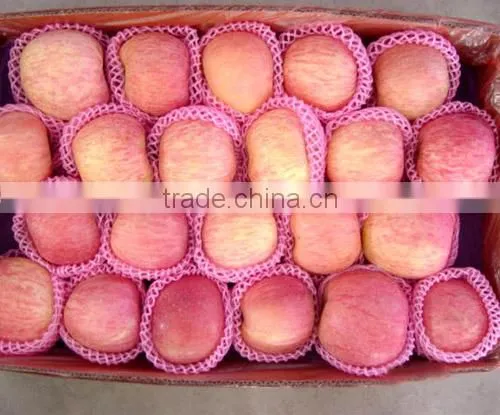 fuji apple for India market