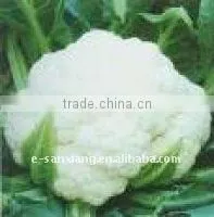 iqf cauliflower florets