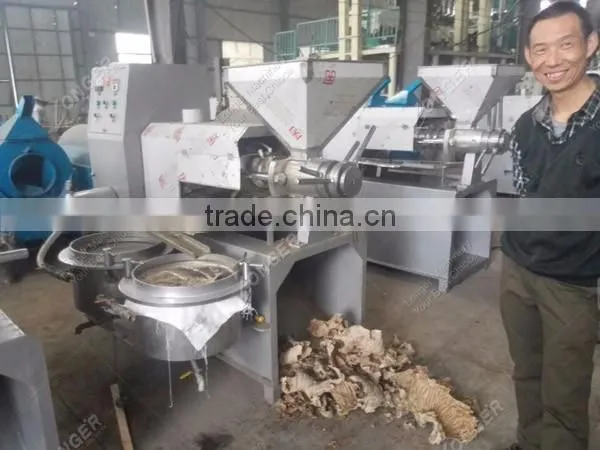 Automatic Spiral Sunflower Oil Extracting Machine/Castor Oil Press Machine
