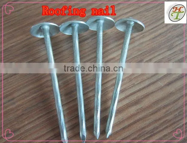 Iron common nail 2.40mm dia 38mm long 25kg per carton package galvanized iron nails
