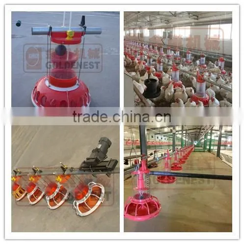 poultry farm equipment