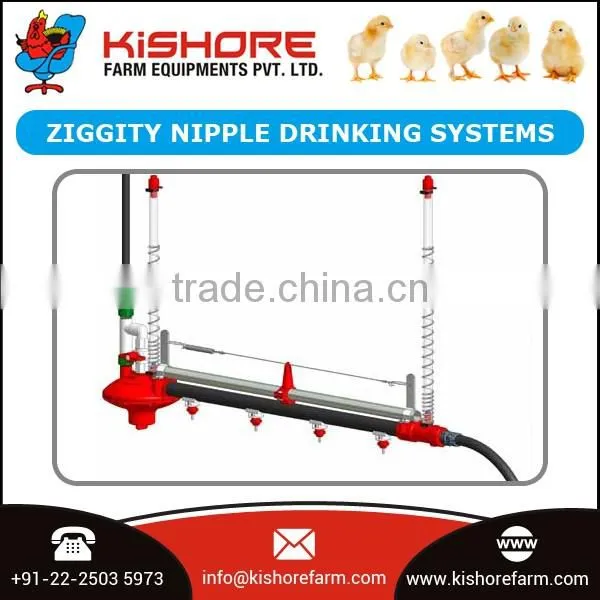 Automatic Poultry Nipple Drinking System