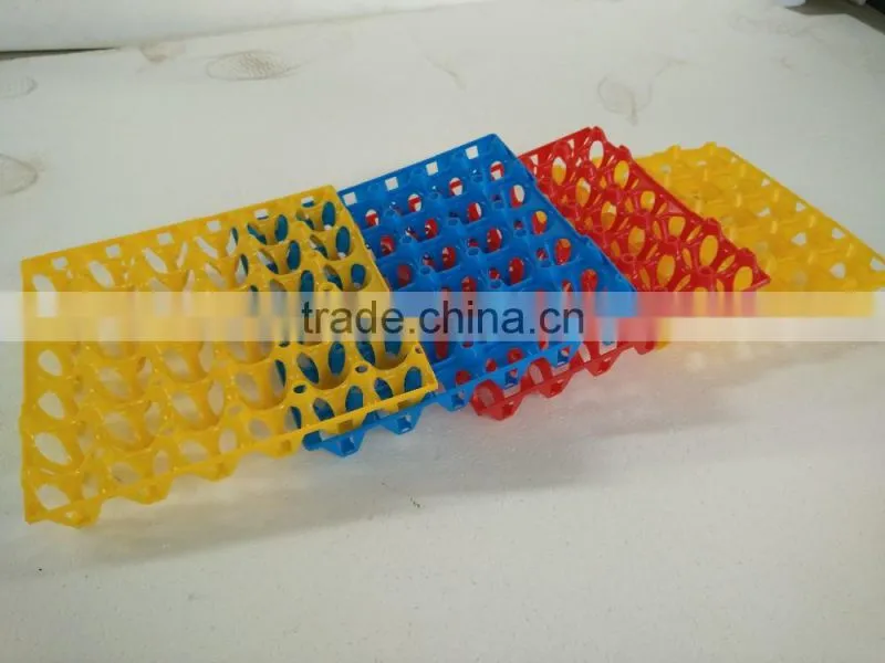 Hot selling plastic eggPlastic protect egg-cartons incubator transportation egg tray machine HJ-DT001