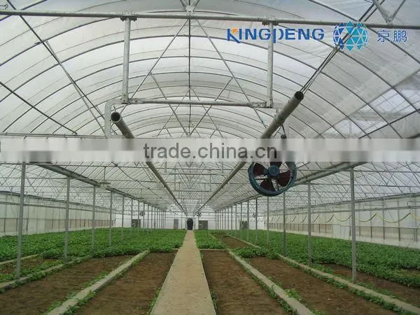 Plastic Film Greenhouse (ISO9001:2000)
