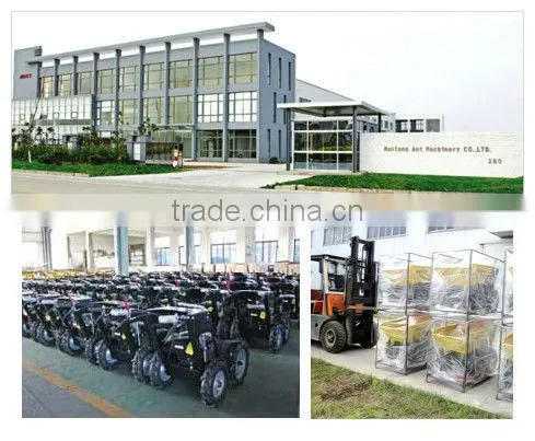 Golden supplier/chinese manufacturers/hot sale in Russian federation gasline engine snow remover
