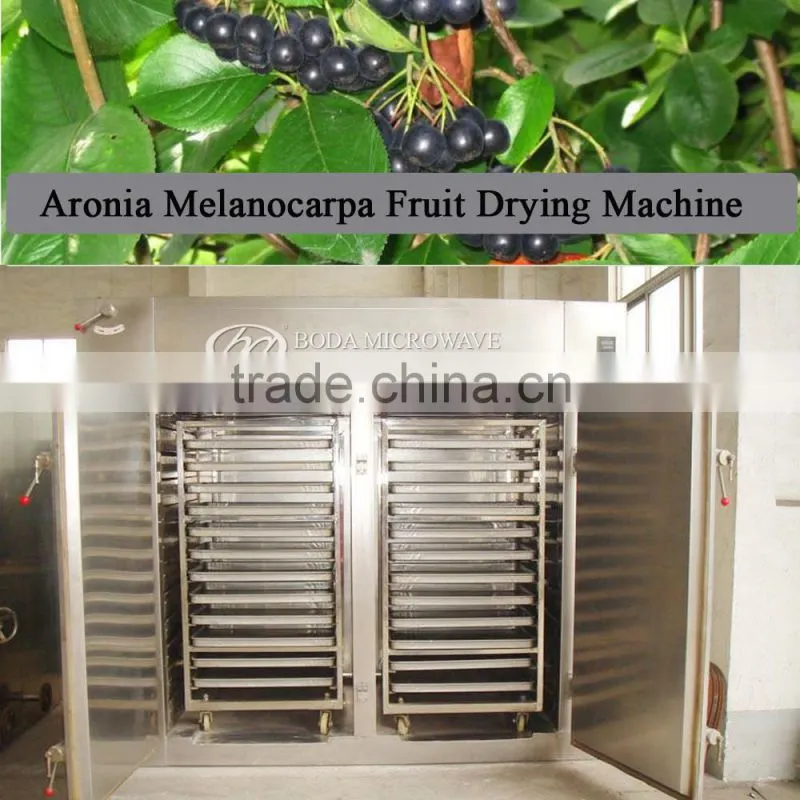 food grade stainless steel dryer hot air convection oven vegetable and fruit drying equipment