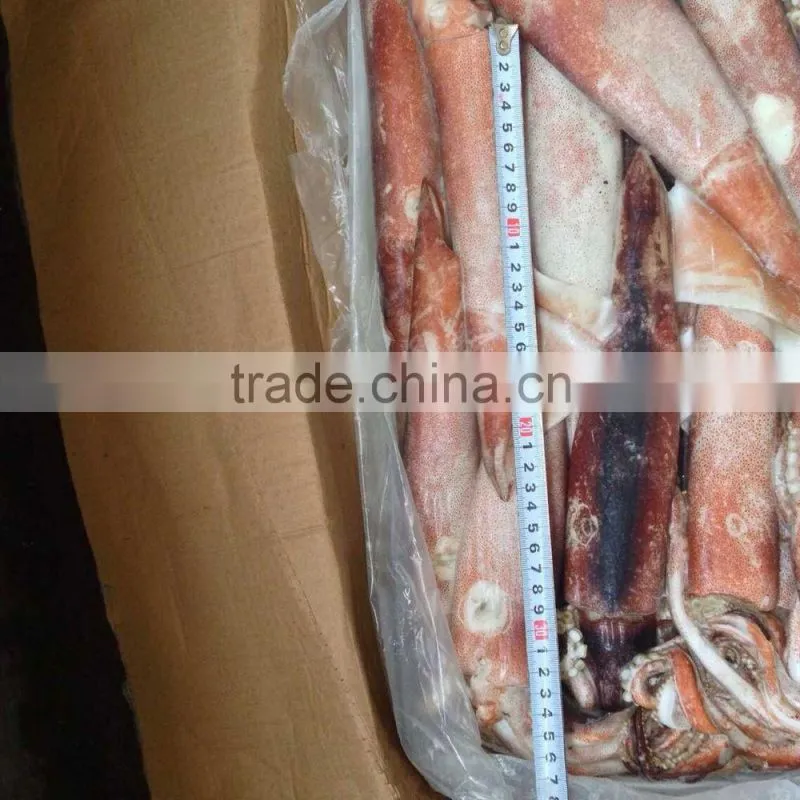 200-300g Frozen Seafood Japanese Flying Squid